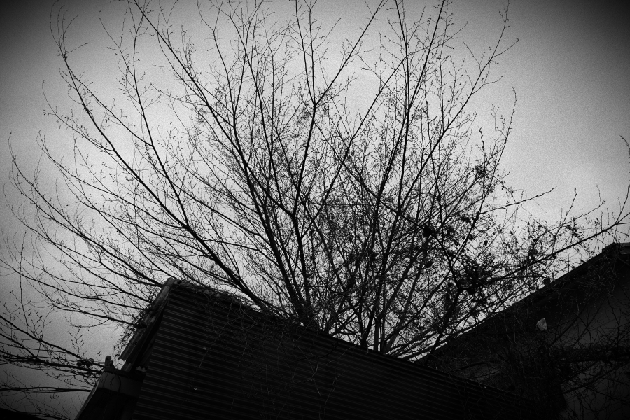 OM SYSTEM OM-3 + M.ZUIKO DIGITAL ED 12-45mm F4.0 PRO