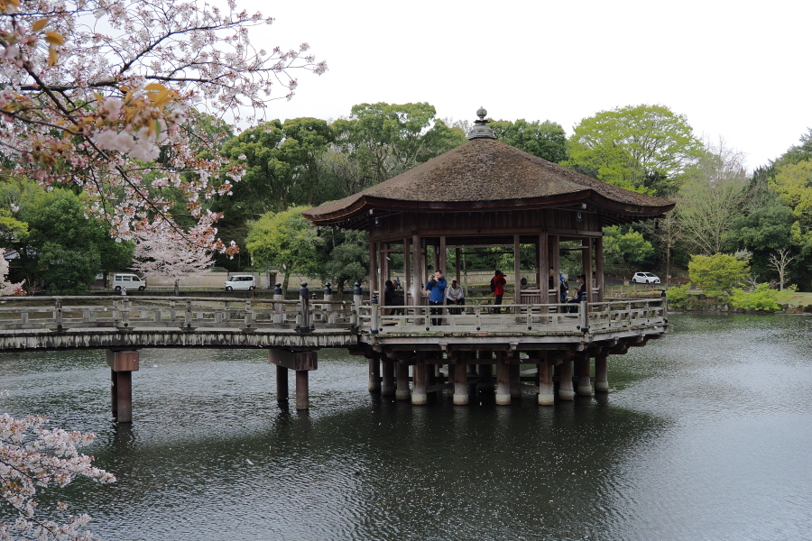 OM SYSTEM OM-3 + M.ZUIKO DIGITAL ED 12-45mm F4.0 PRO