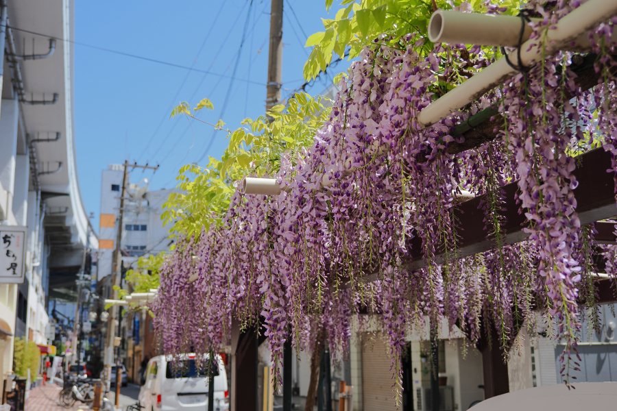 OM SYSTEM OM-3 + M.ZUIKO DIGITAL ED 12-45mm F4.0 PRO