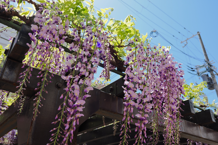 OM SYSTEM OM-3 + M.ZUIKO DIGITAL ED 12-45mm F4.0 PRO