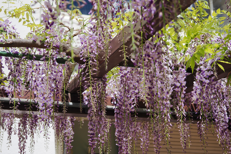 OM SYSTEM OM-3 + M.ZUIKO DIGITAL ED 12-45mm F4.0 PRO