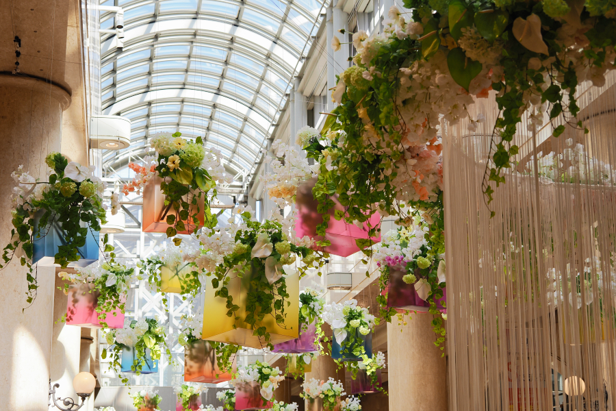 OM SYSTEM OM-3 + M.ZUIKO DIGITAL ED 12-45mm F4.0 PRO