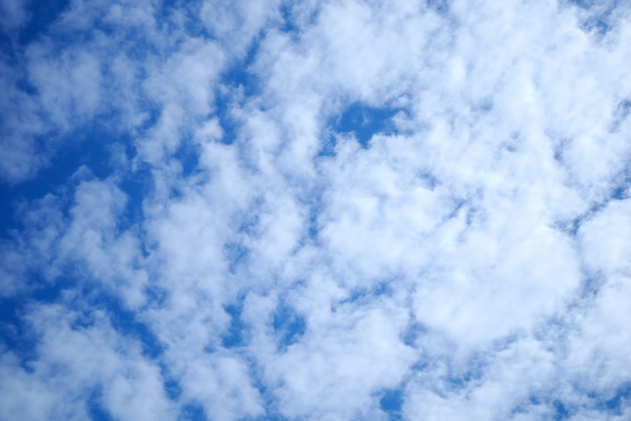 OM SYSTEM OM-1 Mark II + M.ZUIKO DIGITAL 25mm F1.8 II