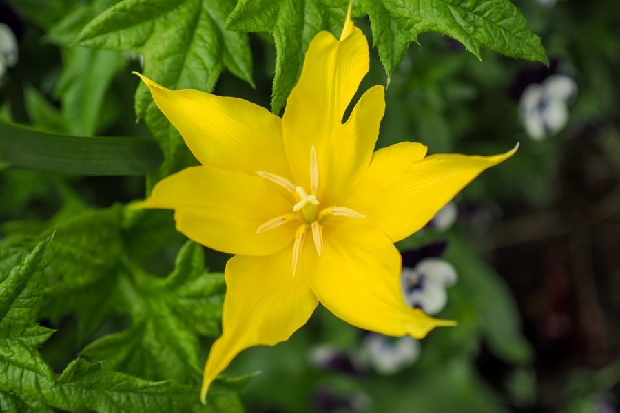 OM SYSTEM OM-1 Mark II + M.ZUIKO DIGITAL 25mm F1.8 II