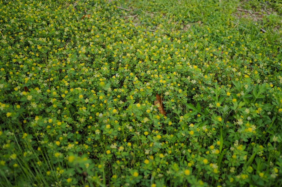 OM SYSTEM OM-5 Mark II + LUMIG G 14mm F2.5 II ASPH