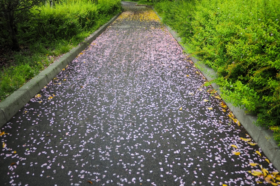 OM SYSTEM OM-5 Mark II + LUMIG G 14mm F2.5 II ASPH