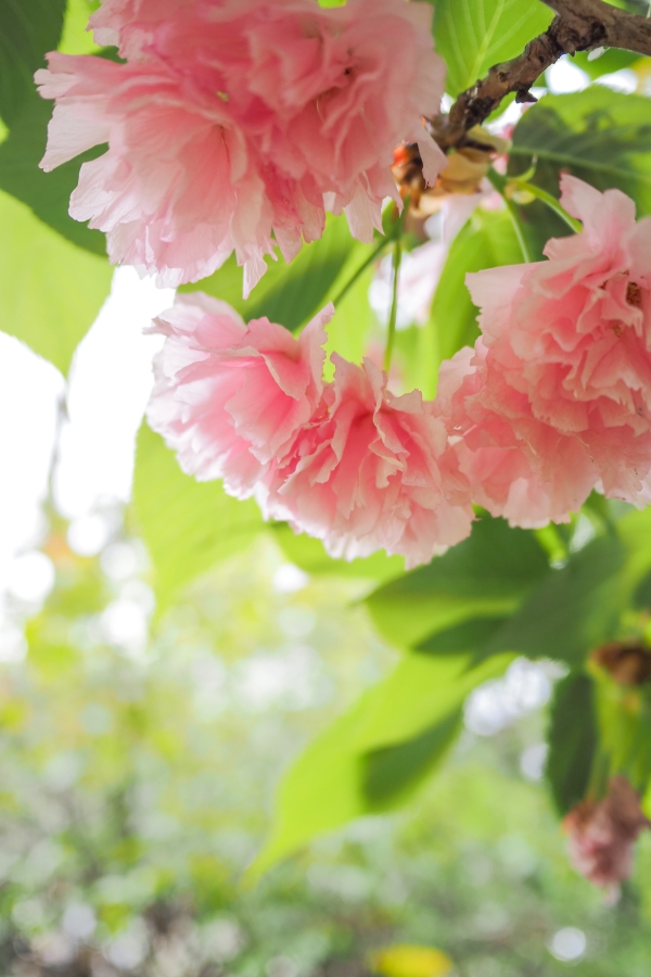 OM SYSTEM OM-5 Mark II + LUMIG G 14mm F2.5 II ASPH