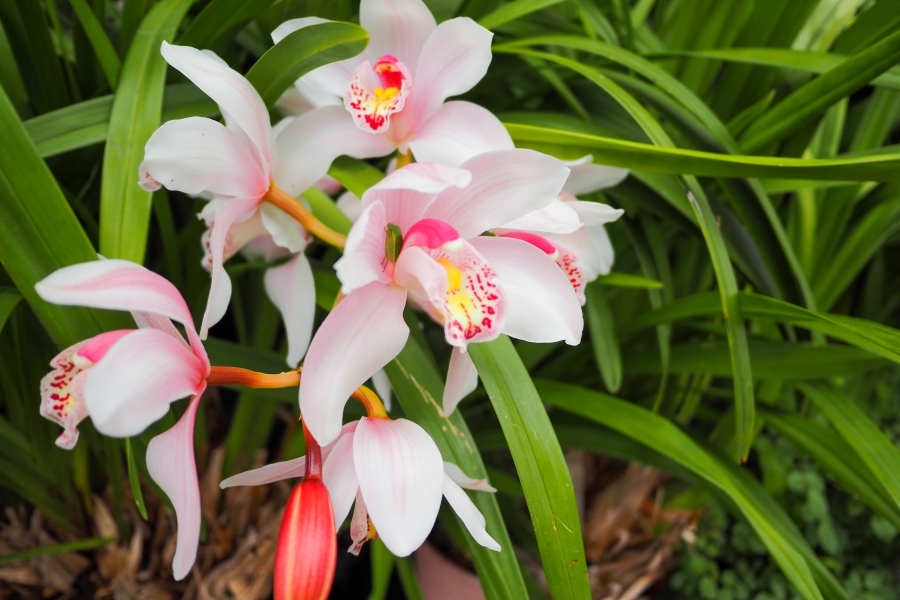 OM SYSTEM OM-5 Mark II + LUMIG G 14mm F2.5 II ASPH