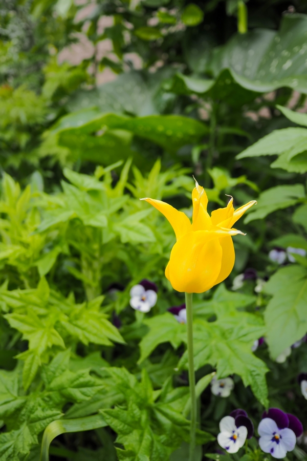 OM SYSTEM OM-5 Mark II + LUMIG G 14mm F2.5 II ASPH