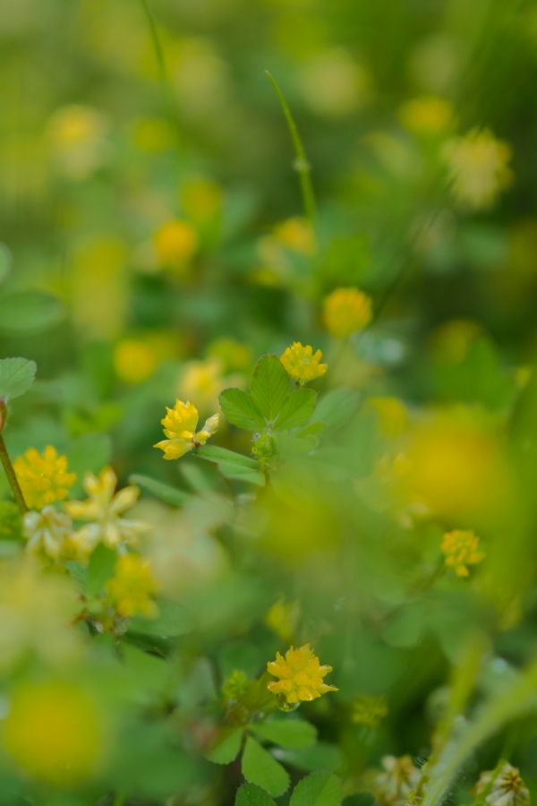 OM SYSTEM OM-5 Mark II + M.ZUIKO DIGITAL 25mm F1.8 II