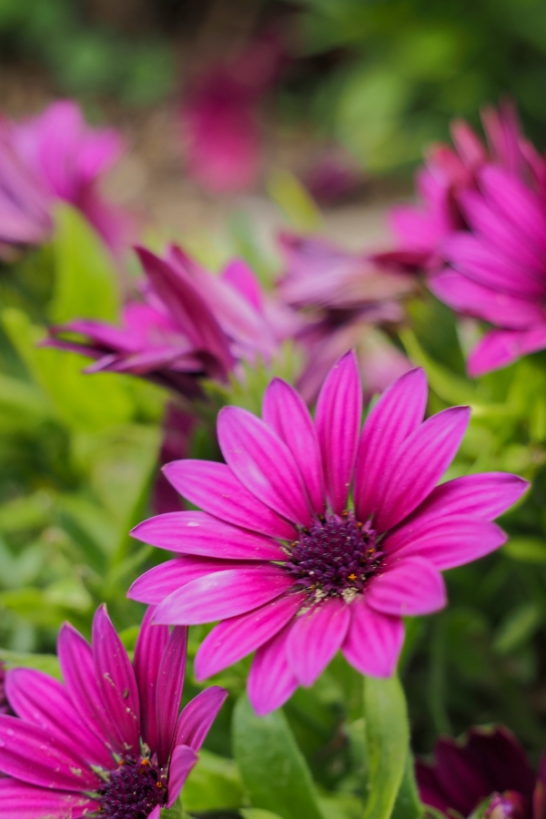 OM SYSTEM OM-5 Mark II + M.ZUIKO DIGITAL ED 12-45mm F4.0 PRO