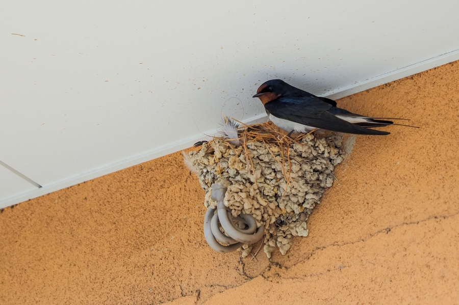 OM SYSTEM OM-5 Mark II + M.ZUIKO DIGITAL ED 12-45mm F4.0 PRO