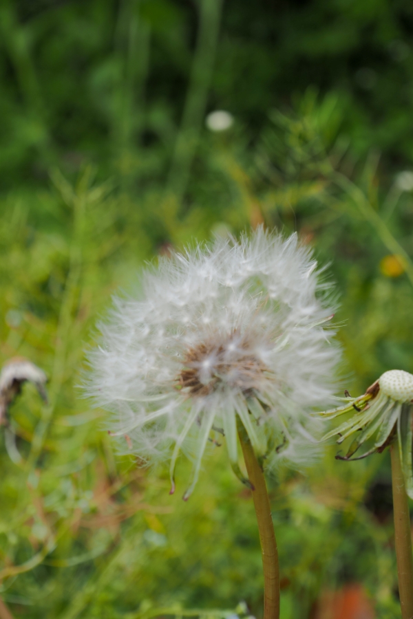 OM SYSTEM OM-5 Mark II + LUMIX G VARIO 12-32mm F3.5-5.6 ASPH. MEGA O.I.S