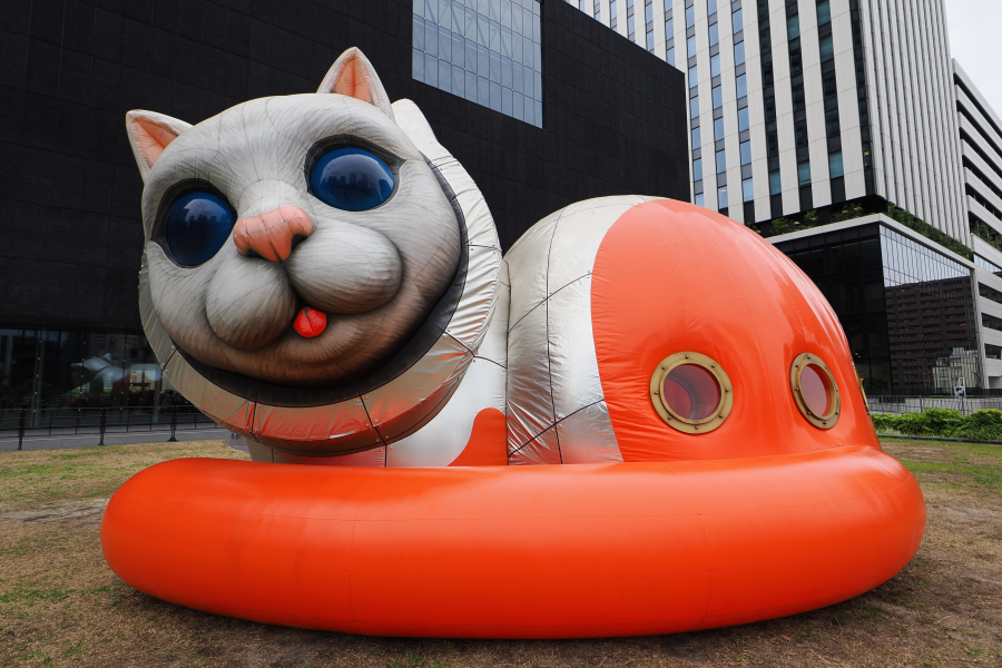 OM SYSTEM OM-1 Mark II + M.ZUIKO DIGITAL ED 8-25mm F4.0 PRO