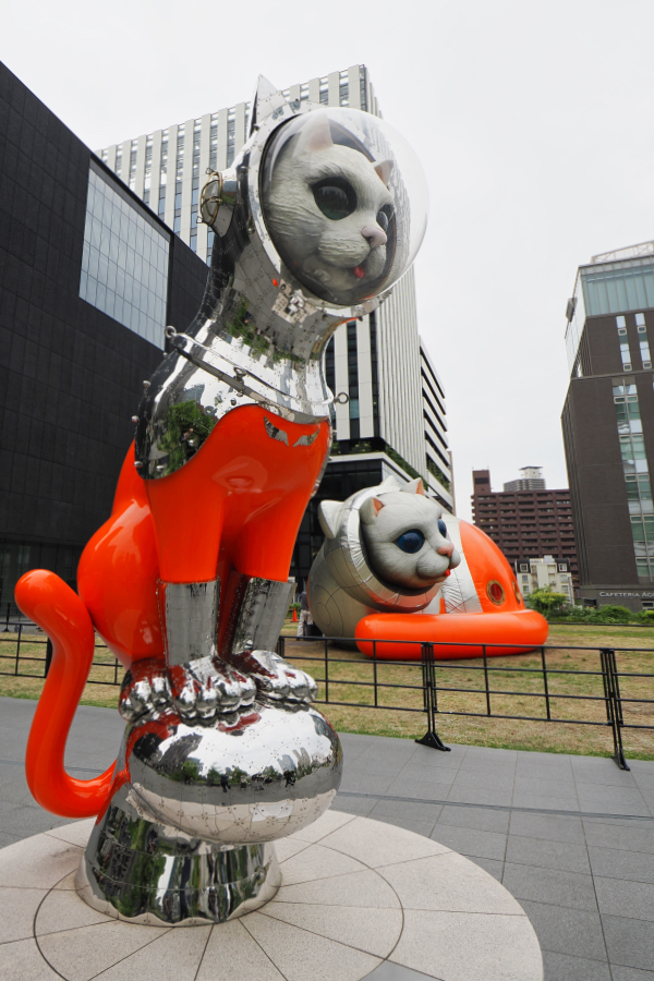 OM SYSTEM OM-1 Mark II + M.ZUIKO DIGITAL ED 8-25mm F4.0 PRO