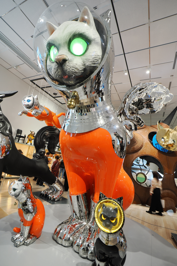 OM SYSTEM OM-1 Mark II + M.ZUIKO DIGITAL ED 8-25mm F4.0 PRO