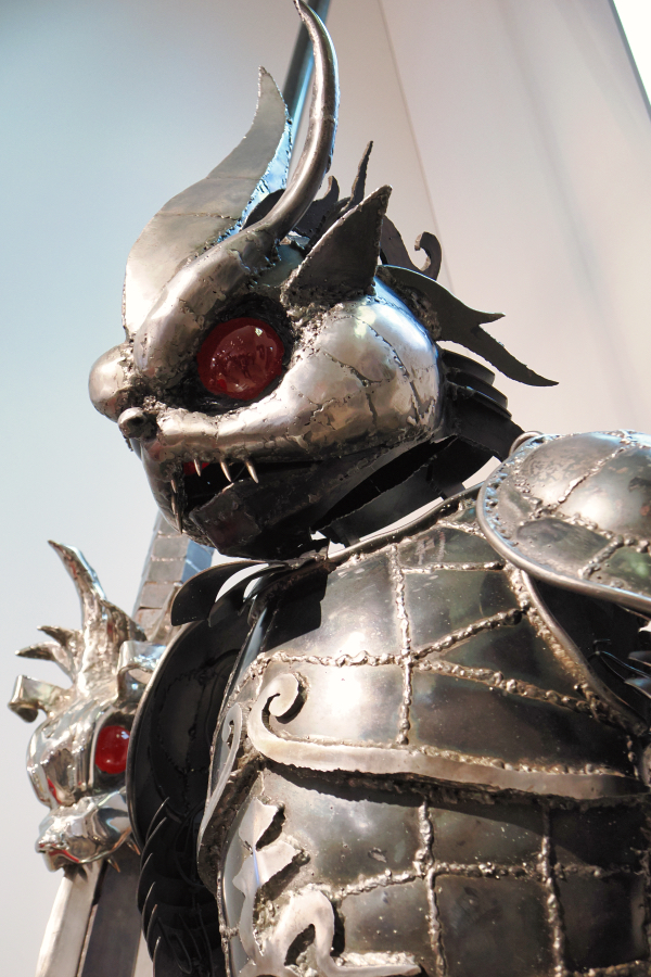 OM SYSTEM OM-1 Mark II + M.ZUIKO DIGITAL ED 8-25mm F4.0 PRO