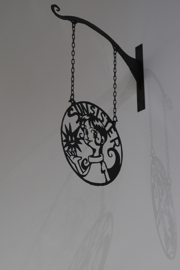 OM SYSTEM OM-1 Mark II + M.ZUIKO DIGITAL ED 8-25mm F4.0 PRO