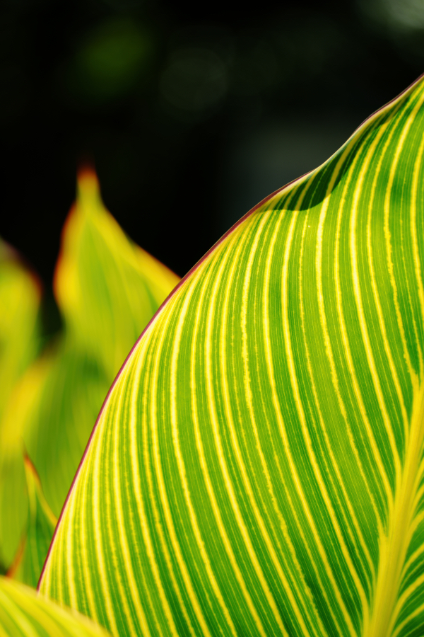 SONY α7CR + TAMRON 25-200mm F/2.8-5.6 Di III VXD