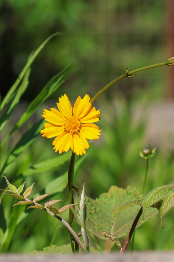 Canon EOS R10 + RF-S18-150mm F3.5-6.3 IS STM