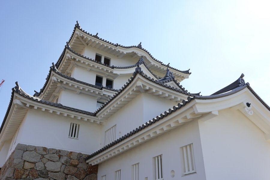 Canon EOS R10 + TAMRON 11-20mm F/2.8 Di III-A RXD