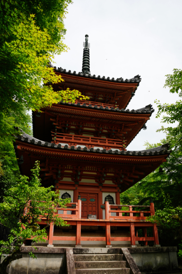 SONY α1 II + TAMRON 25-200mm F/2.8-5.6 Di III VXD