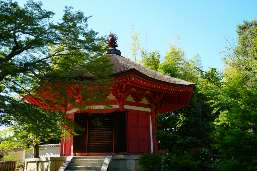 SONY α1 II + TAMRON 25-200mm F/2.8-5.6 Di III VXD