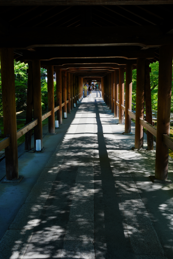 SONY α1 II + TAMRON 25-200mm F/2.8-5.6 Di III VXD