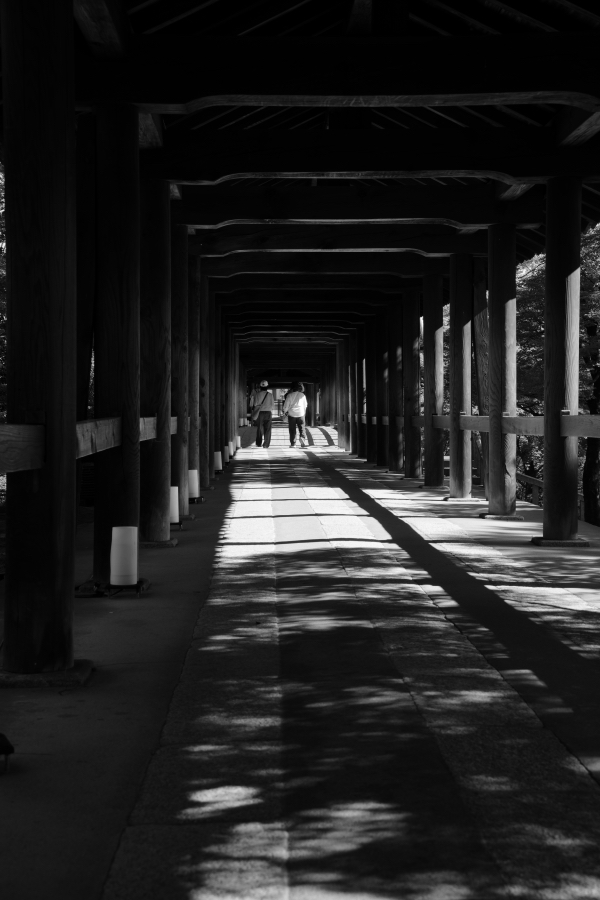 SONY α1 II + TAMRON 25-200mm F/2.8-5.6 Di III VXD