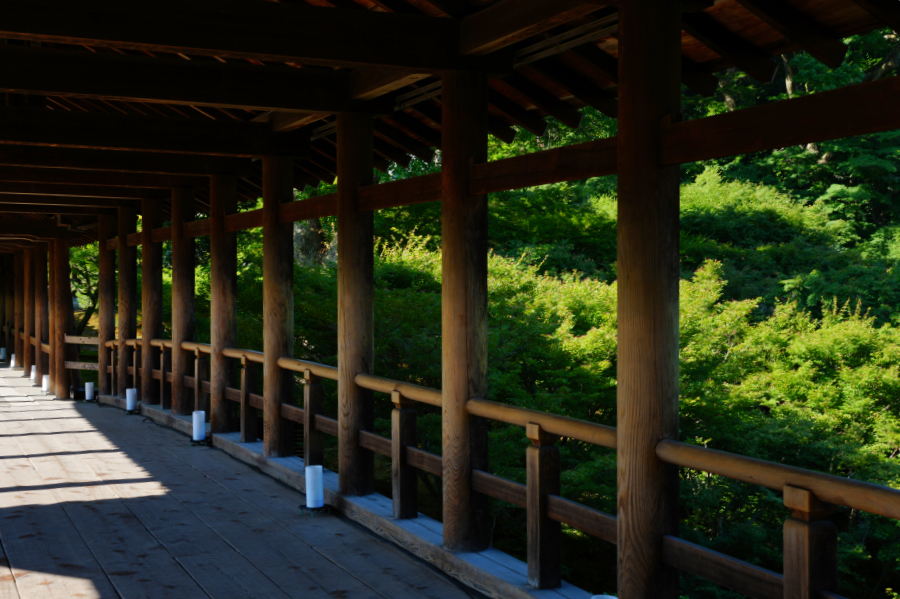 SONY α1 II + TAMRON 25-200mm F/2.8-5.6 Di III VXD