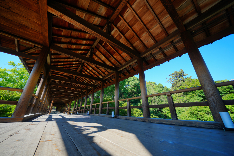 SONY α1 II + FE 12-24mm F4 G