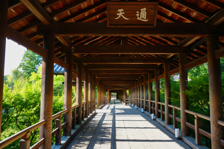 SONY α1 II + TAMRON 25-200mm F/2.8-5.6 Di III VXD