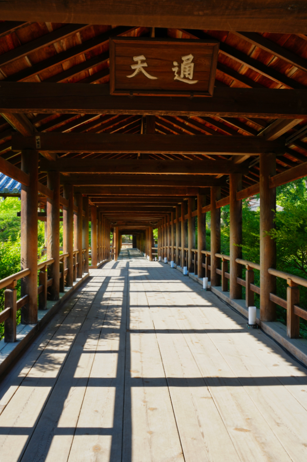 SONY α1 II + TAMRON 25-200mm F/2.8-5.6 Di III VXD