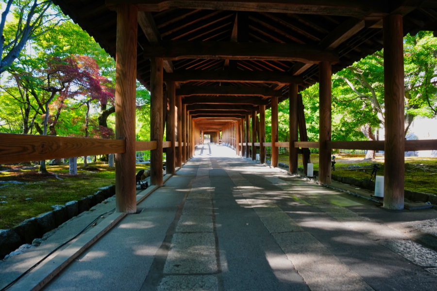 SONY α1 II + TAMRON 25-200mm F/2.8-5.6 Di III VXD