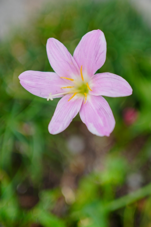 SONY α7CR + FE 35mm F1.8