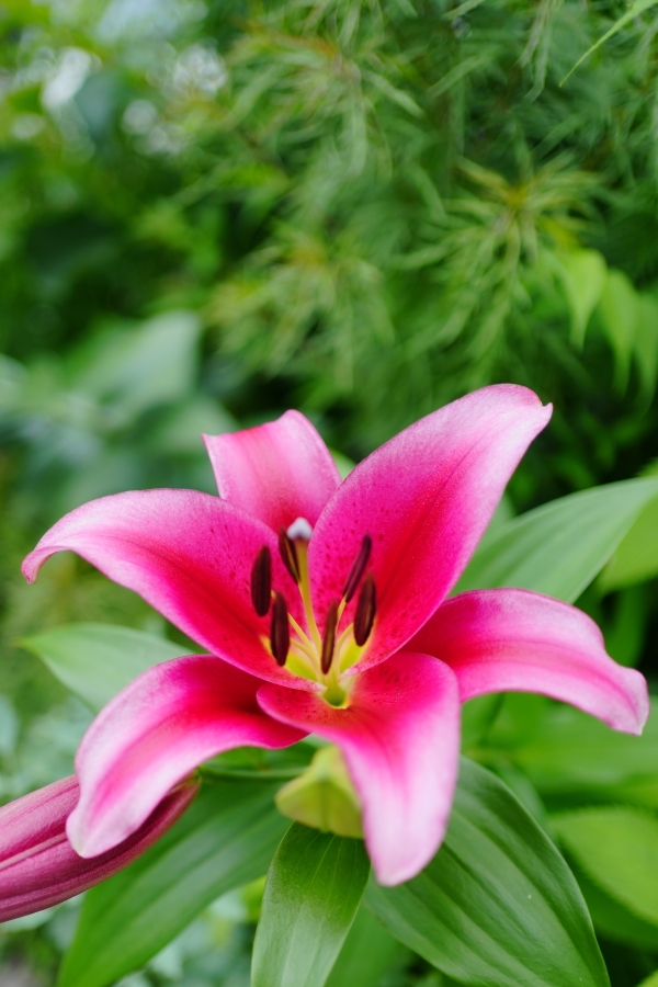 SONY α7CR + FE 35mm F1.8