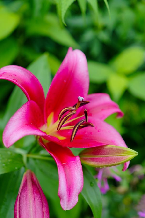 SONY α7CR + FE 24-70mm F2.8 GM II