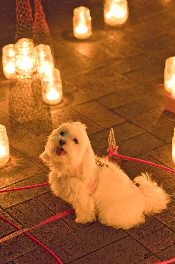 SONY α7CR + FE 24-70mm F2.8 GM II