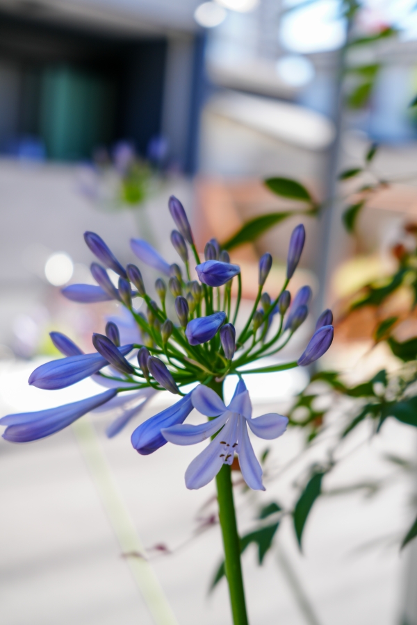 SONY α7CR + FE 28-60mm F4-5.6