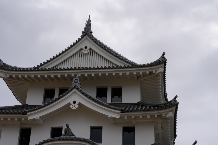 SONY α1 II + FE 70-200mm F2.8 GM OSS II