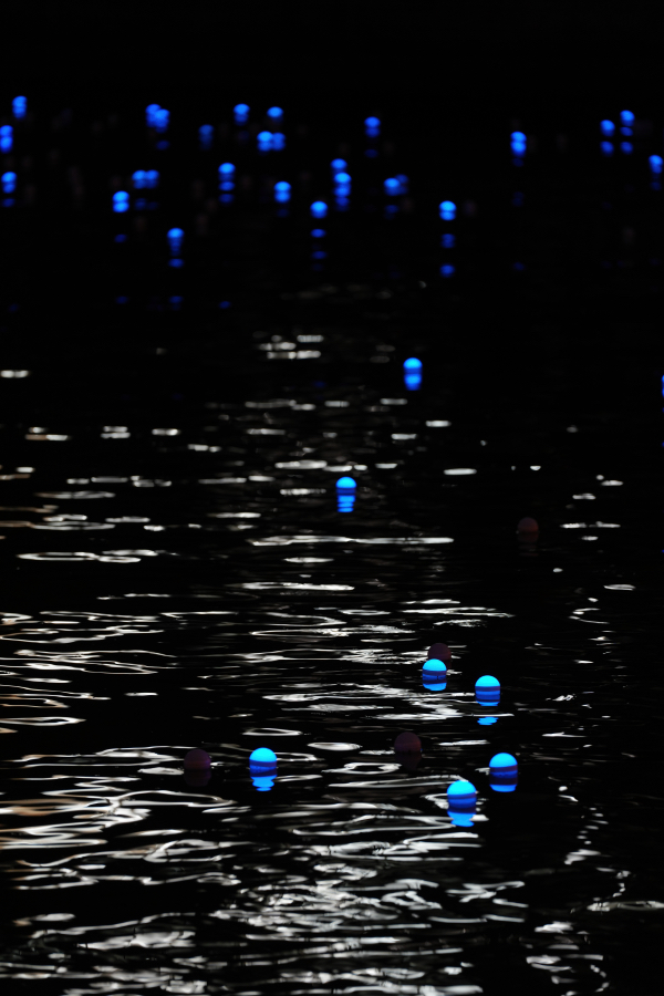 SONY α1 II + FE 70-200mm F2.8 GM OSS II