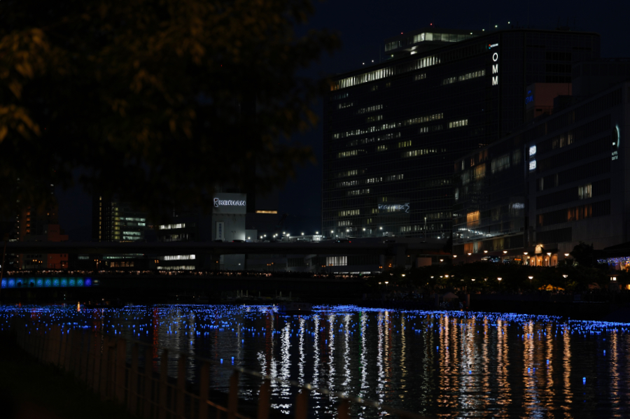 SONY α1 II + FE 70-200mm F2.8 GM OSS II