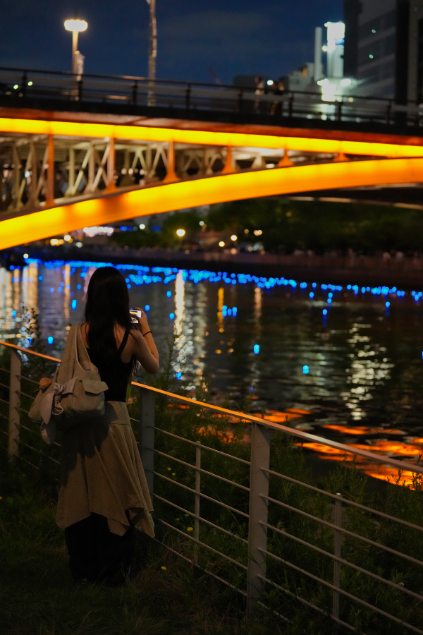 SONY α1 II + FE 70-200mm F2.8 GM OSS II