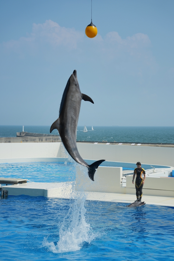 SONY α1 II + TAMRON 25-200mm F/2.8-5.6 Di III VXD