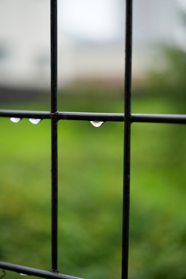 SONY α7CR + FE 50mm F2.5 G