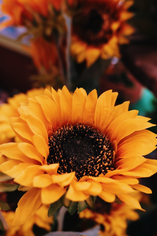 Panasonic LUMIX L10