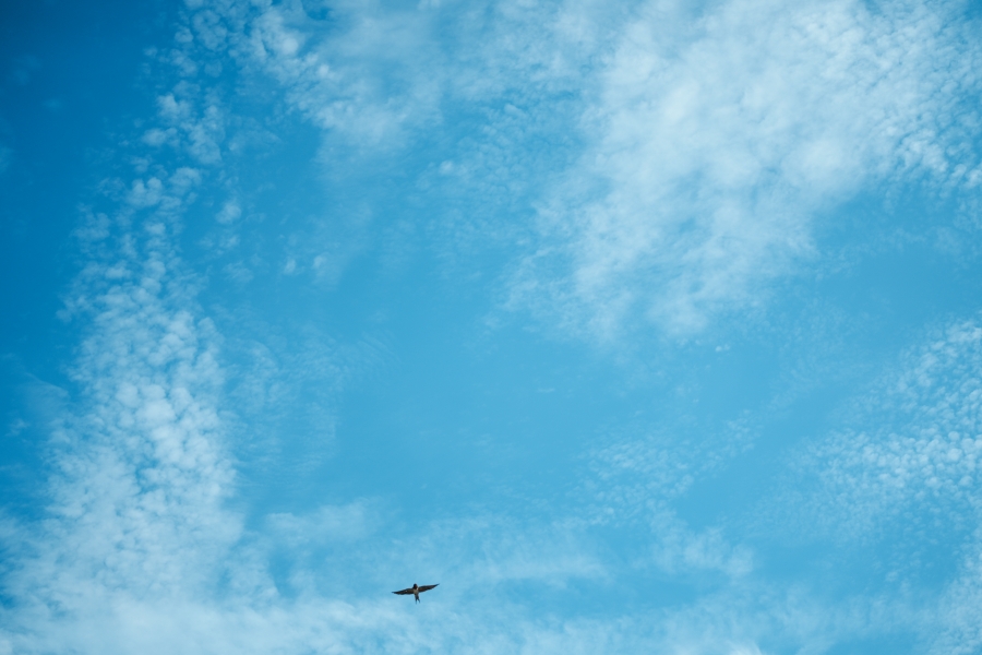 SONY α7CR + FE 40mm F2.5 G