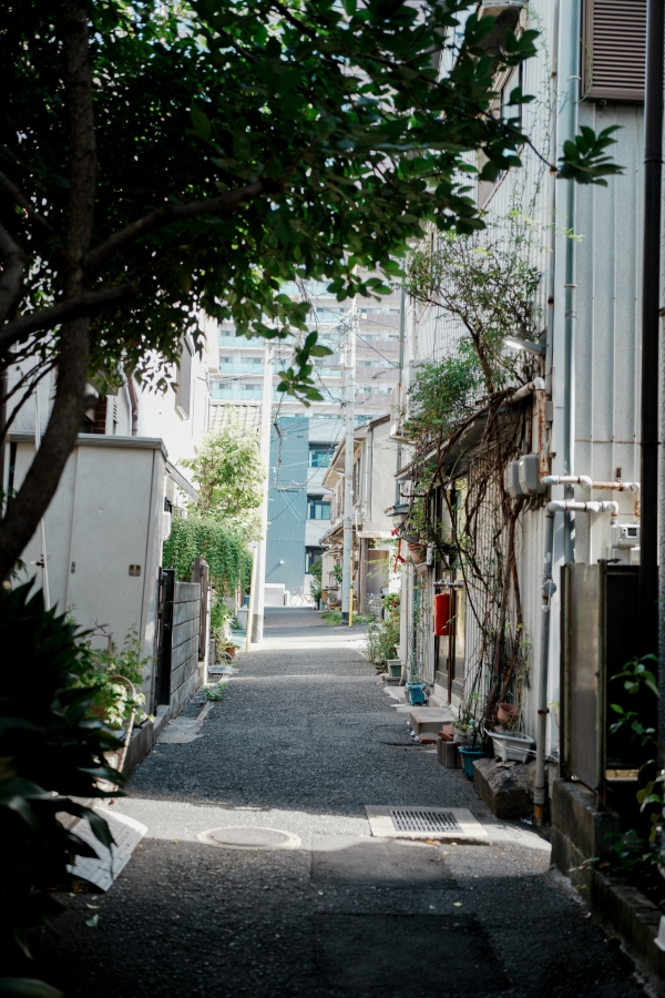 SONY α7CR + FE 40mm F2.5 G