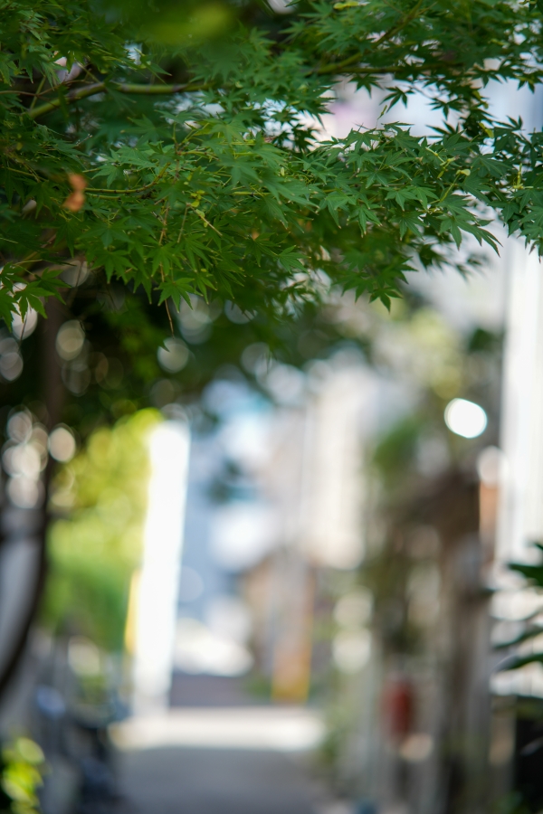 SONY α7CR + TTArtisan AF 85mm F1.8 Neo