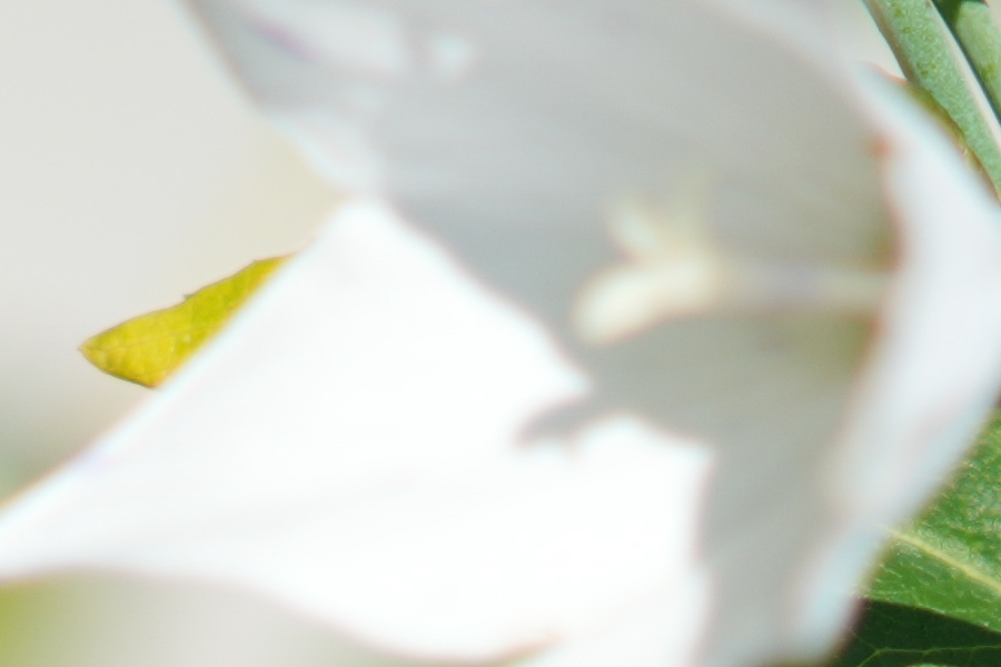 SONY α7CR + TTArtisan AF 85mm F1.8 Neo